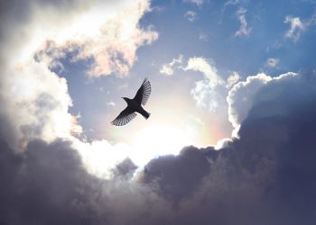 Молодежная община как островок стабильности в турбулентное время