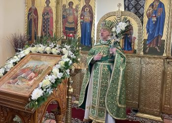 Вход Господень в Иерусалим. С Вербным воскресеньем, дорогие братья и сестры!